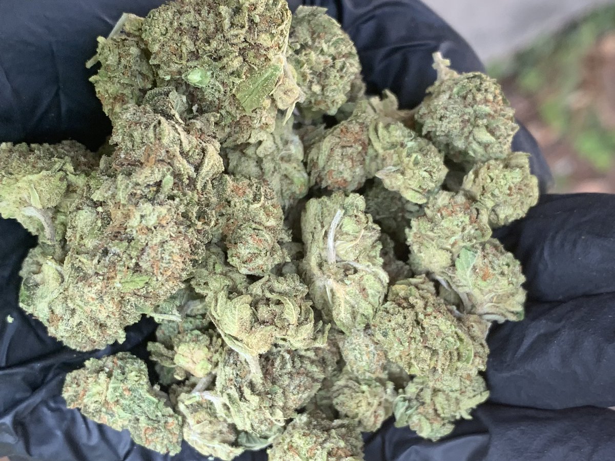 hewweeds's tweet image. Kushmintz fast 1g40 10+35 บริการปลายทางชนมือนครปฐมติดต่ไลน์line.me/ti/p/bJl7LdkVLy หรือDmได้เลยครับ #ATLASxEFMFANDOMLIVE #facebookdown #GivenchyxFreenSarocha #TSTheErasTour #ร้องข้ามกําแพง #ลางสังหรณ์ก่อนหลงป่า #สลภไลฟ์คู่กันกี่โมง #เรือนทาสep14 #นครปฐม #นครปฐมในเมือง #บ้านโป่ง