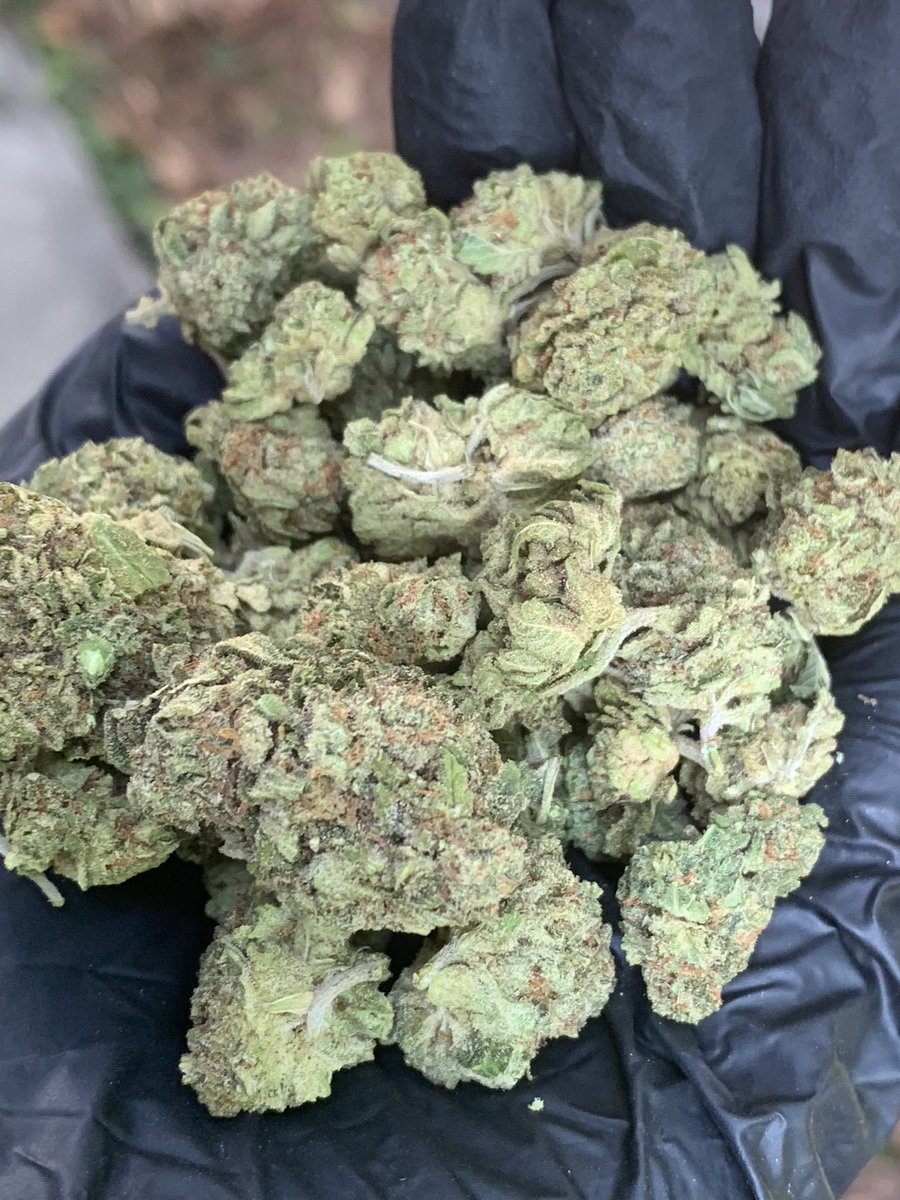 hewweeds's tweet image. Kushmintz fast 1g40 10+35 บริการปลายทางชนมือนครปฐมติดต่ไลน์line.me/ti/p/bJl7LdkVLy หรือDmได้เลยครับ #ATLASxEFMFANDOMLIVE #facebookdown #GivenchyxFreenSarocha #TSTheErasTour #ร้องข้ามกําแพง #ลางสังหรณ์ก่อนหลงป่า #สลภไลฟ์คู่กันกี่โมง #เรือนทาสep14 #นครปฐม #นครปฐมในเมือง #บ้านโป่ง