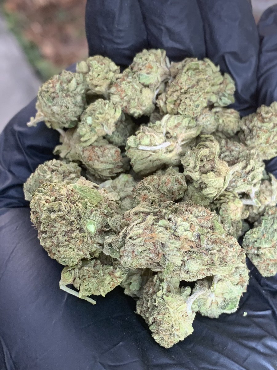 hewweeds's tweet image. Kushmintz fast 1g40 10+35 บริการปลายทางชนมือนครปฐมติดต่ไลน์line.me/ti/p/bJl7LdkVLy หรือDmได้เลยครับ #ATLASxEFMFANDOMLIVE #facebookdown #GivenchyxFreenSarocha #TSTheErasTour #ร้องข้ามกําแพง #ลางสังหรณ์ก่อนหลงป่า #สลภไลฟ์คู่กันกี่โมง #เรือนทาสep14 #นครปฐม #นครปฐมในเมือง #บ้านโป่ง