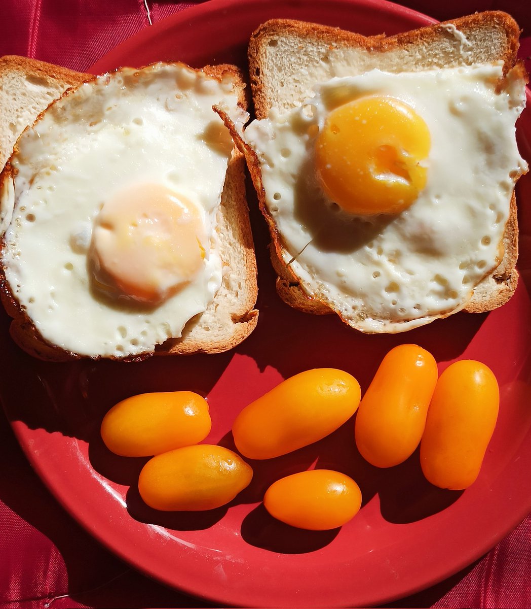 آفنري ✨ tweet media