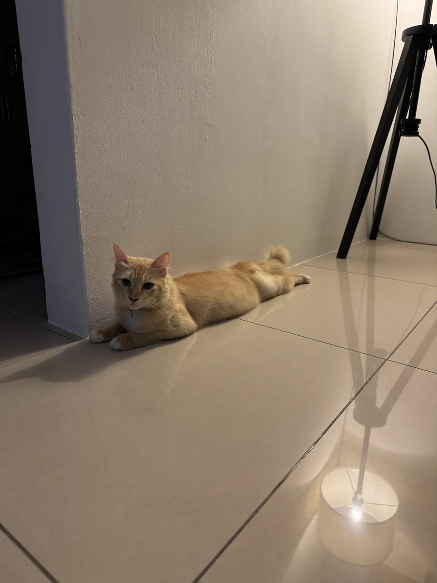 Reemarshub's tweet image. Hi saya adek.