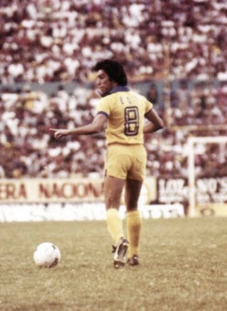 axelsolisrmz's tweet photo. #Felices64 años de historia @TigresOficial !
Con ustedes el mejor jugador en la historia del Club #Tigres
TOMAS BOY
#ElJefe
#TomasBoy
#Tigres
#EstoEsTigres
#PerfilTigre https://t.co/4xpyiySuud