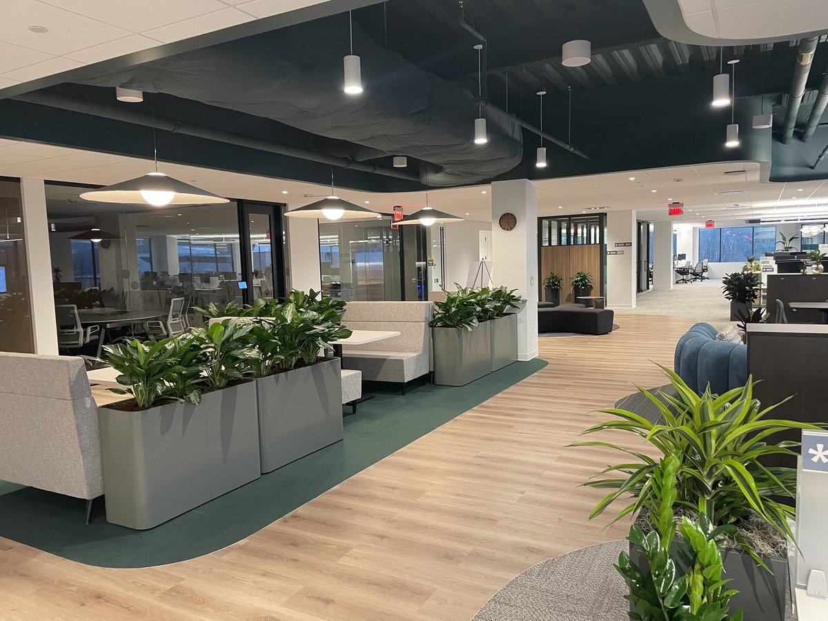 plantwerks's tweet photo. Phase 1 complete!! Stay tuned for phase 2!! https://t.co/NxxqySSxAU