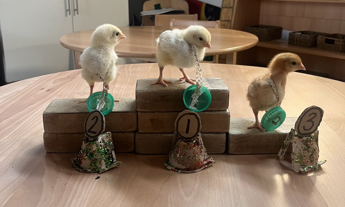 Emily Griffiths tweet media