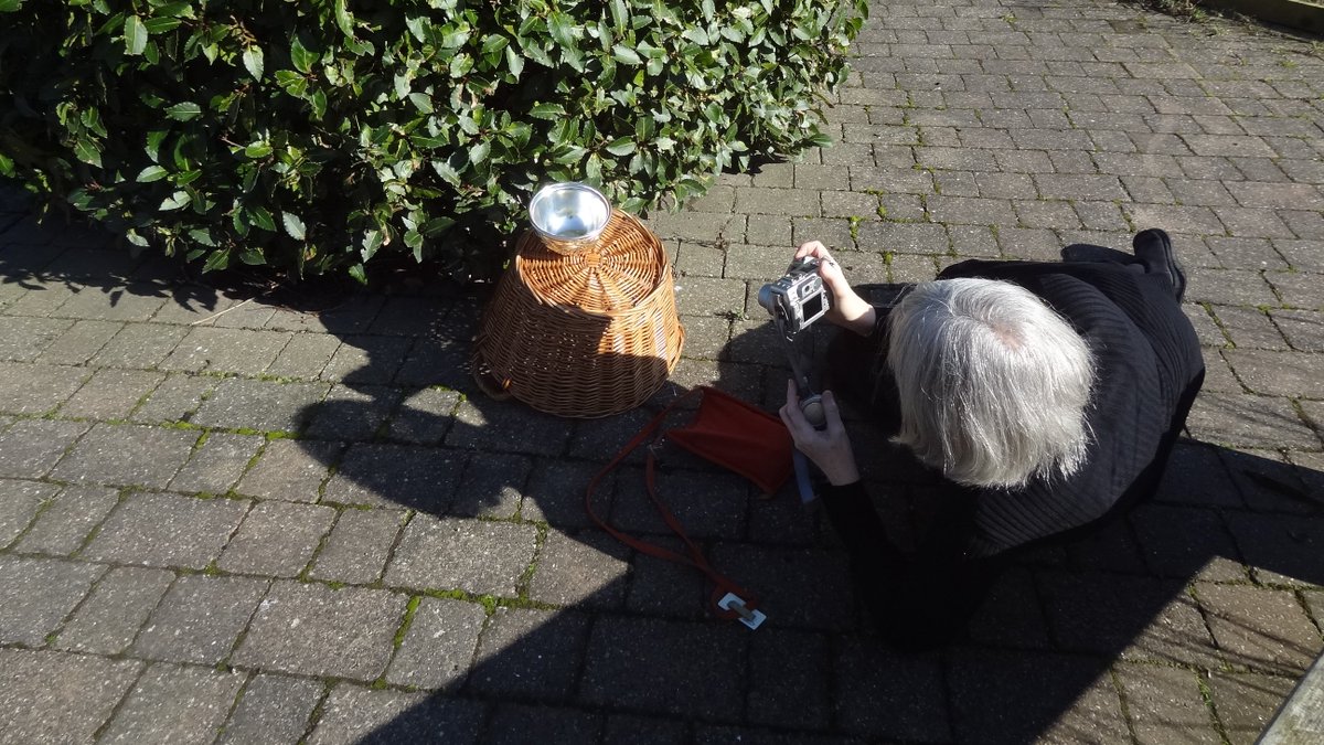 For International Women's Day, we're featuring our awesome curator Alex who will go to any lengths to get the best shot. Alex, we salute you! #IWD2024 #SouthShields #RomanFort