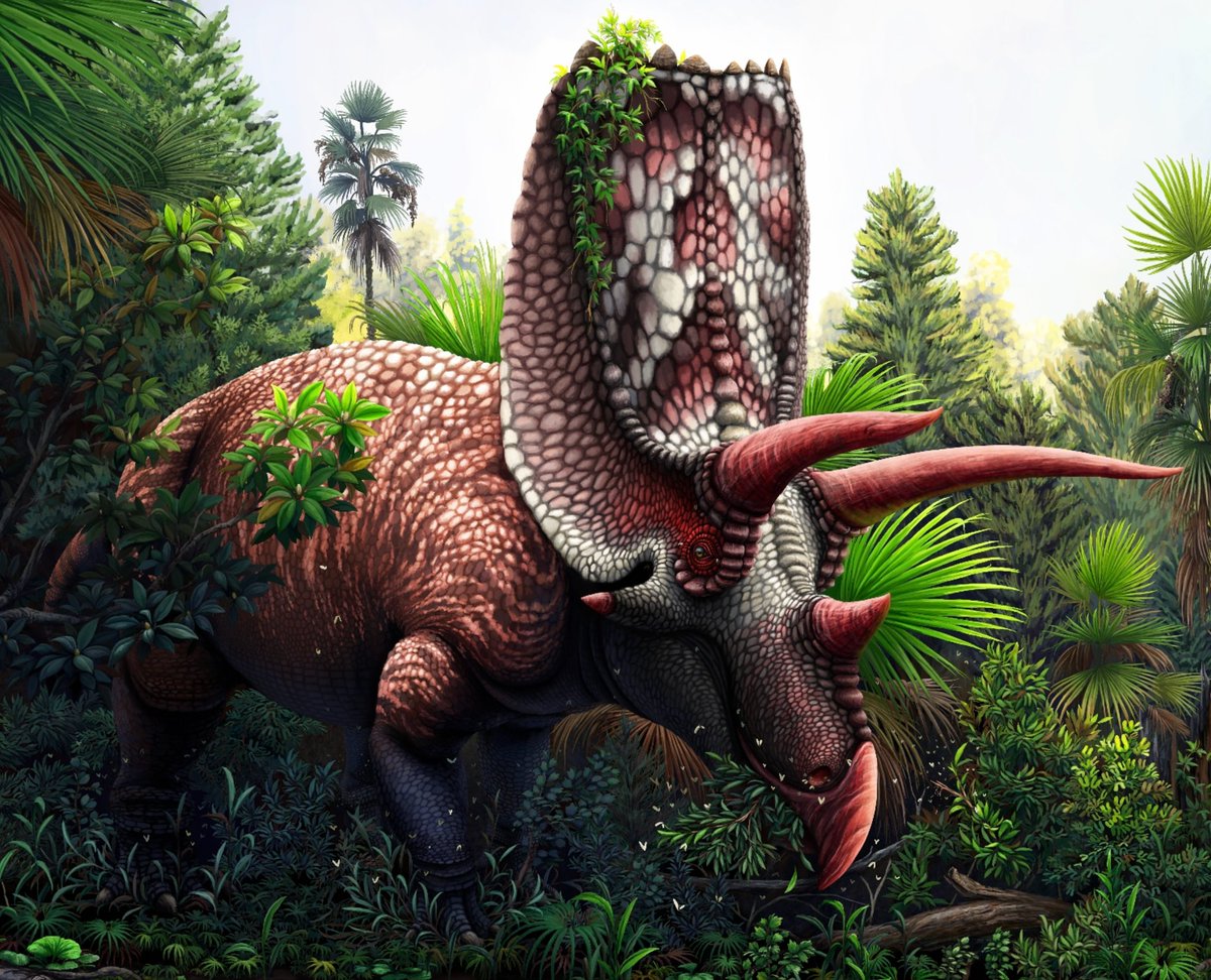 paleobyliam's tweet photo. Everyone get your extinct fellas out
#paleoart 
@TheWoodParable 
@LucasMateus707 
@lans_snows 
@ing39911093 https://t.co/JawPcvzLtO