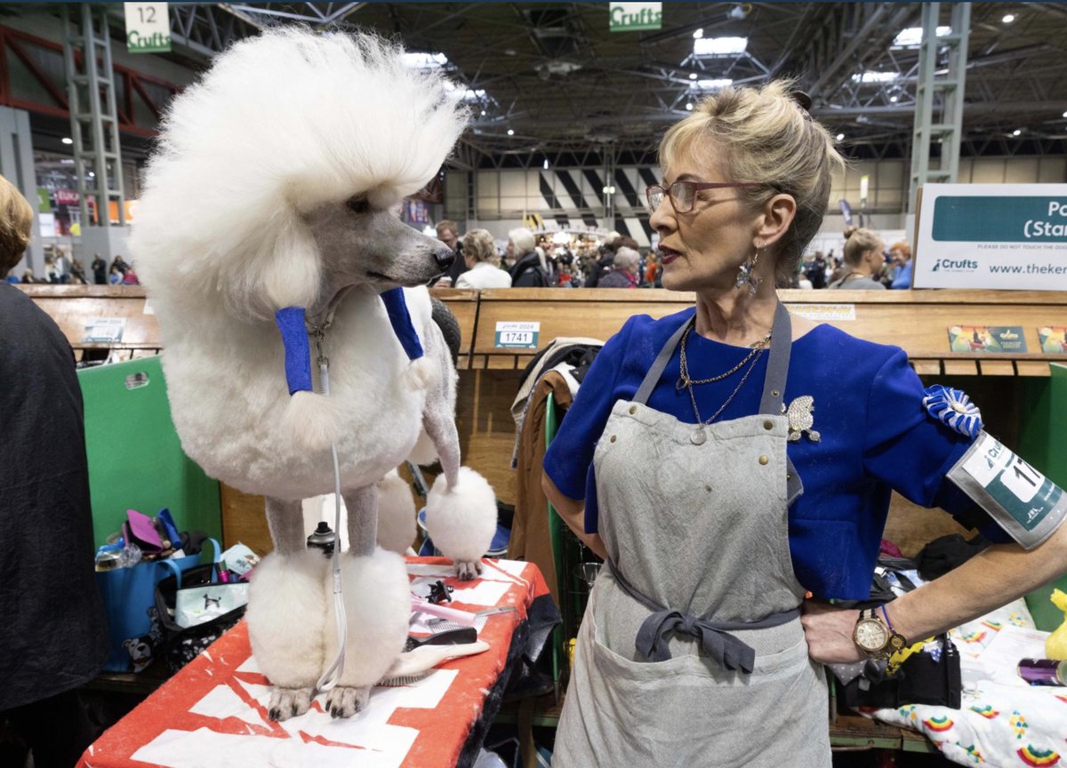 Oh thank god, it's time for Crufts. Bring on the weird dog haircuts and bizarre interviews. This is what the world needs now.