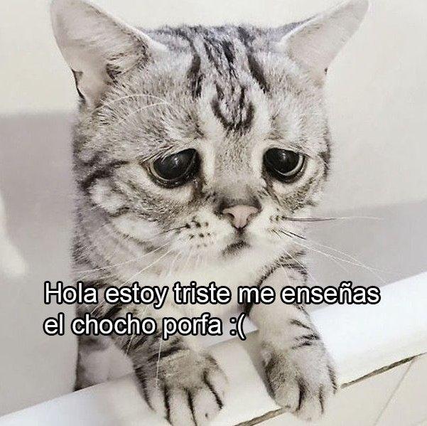 kuervocuchillo's tweet photo. @illojuan https://t.co/8HaPHuVqc4
