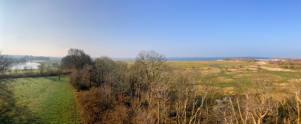 Uitzicht vanaf onze uitkijktoren op de Kraaijenberg! Uitgestrekt beeld over vogelwalhalla Markiezaat. #uitkijktoren #kraaijenberg #markiezaat #n2000 #vogelskijken #natuur #mijnbrabantslandschap