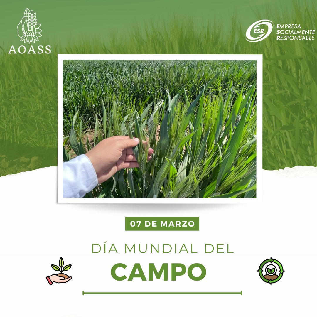 🌾🌎¡Hoy celebramos el Día Internacional del Campo! Reconocemos y honramos el trabajo de quienes labran la tierra, alimentando al mundo con su dedicación y esfuerzo.

#DíaMundialDelCampo
#Agricultura #AOASS
#07DeMarzo