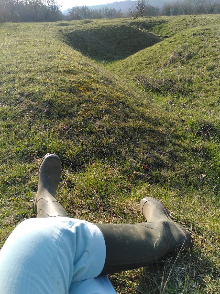 AudeVisine's tweet image. #PetitsBonheurs
C'était le jour de beau de la semaine a priori et je dois lutter contre le déconditionnement dans un subtile équilibre entre utiliser les muscles crispés par le manque d'énergie et rester dans ma jauge d'énergie justement.
#Bref j'ai chaussé les bottes et fais 
1/