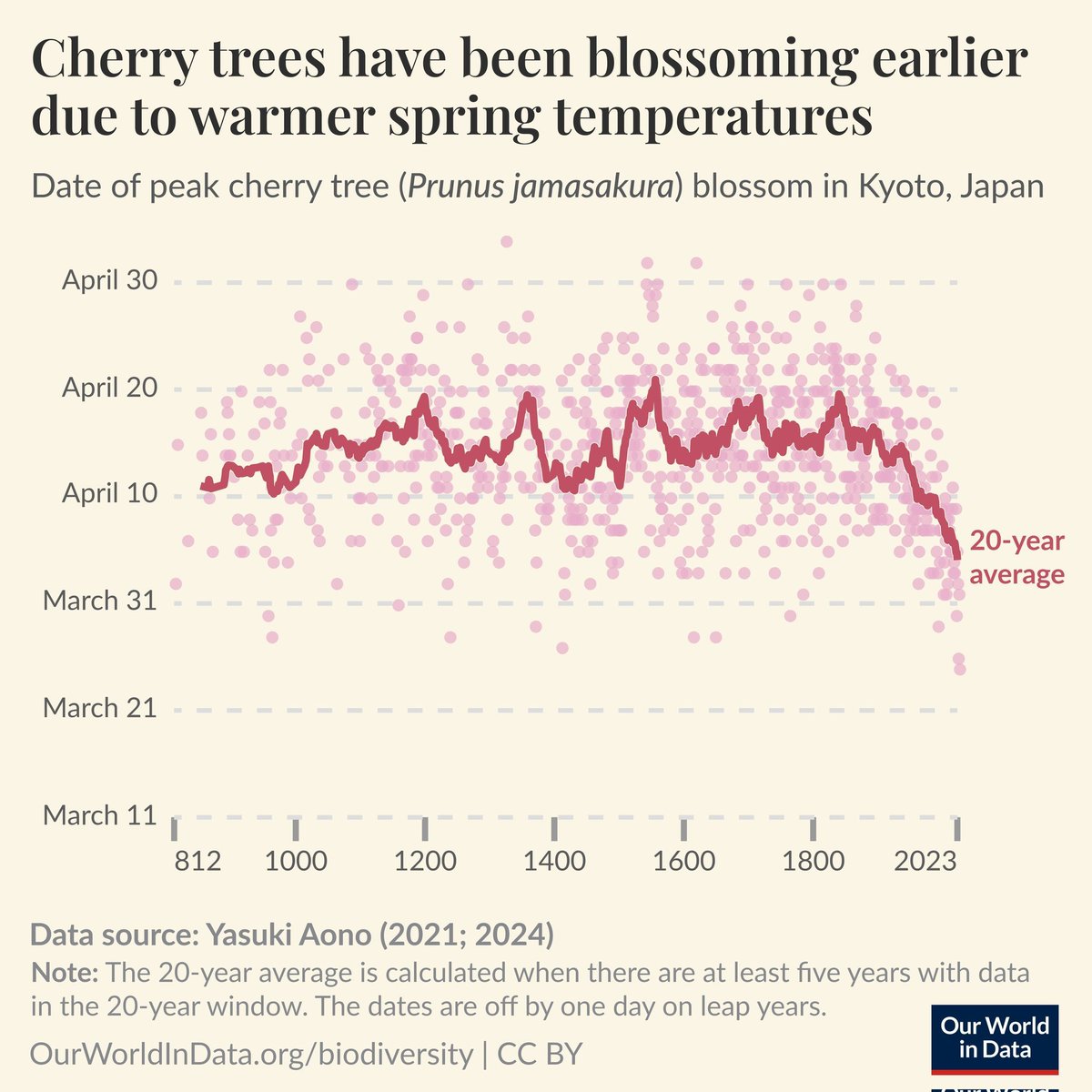 Los japoneses llevan 1200+ años anotando sagradamente la fecha de floración de los cerezos en la ciudad de Kyoto.
En la gráfica vemos como estos árboles se han unido a la conspiración del cambio climático para imponer la Agenda 2030, el foro de Sao Paulo y las vacunas con