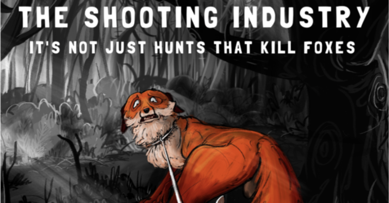 ProtectTheWild_'s tweet photo. Have you seen our animation on the shooting industry? It has now been seen over 8 MILLION TIMES! 

Watch it here: https://t.co/PHE6xb4AdM https://t.co/TKIVPUJa9p