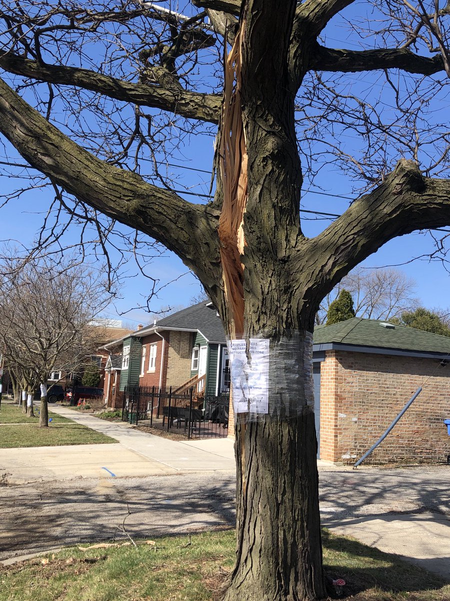 Patty Wetli tweet media