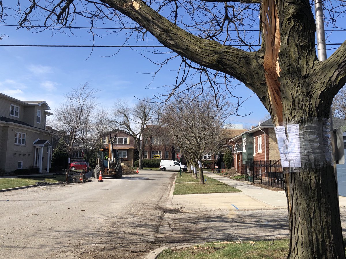 Patty Wetli tweet media