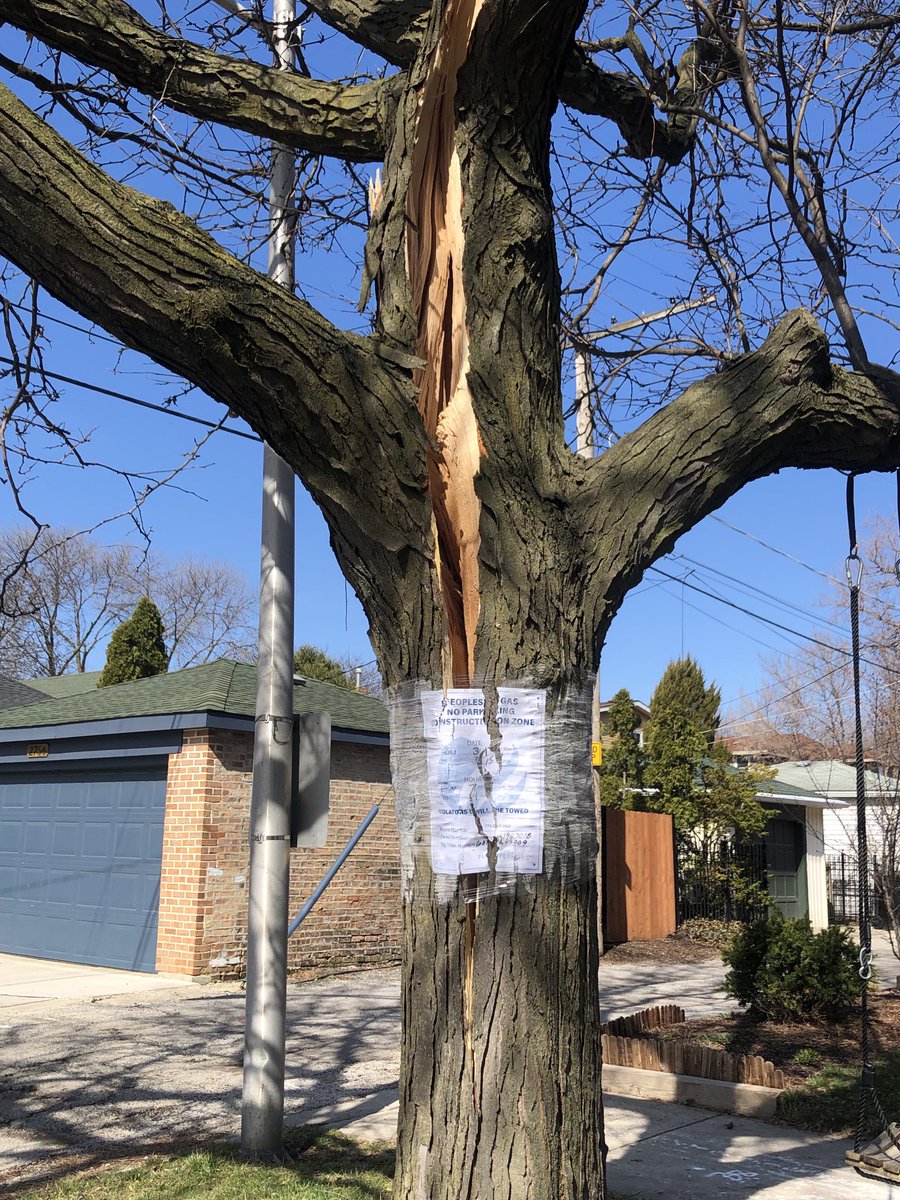 Patty Wetli tweet media