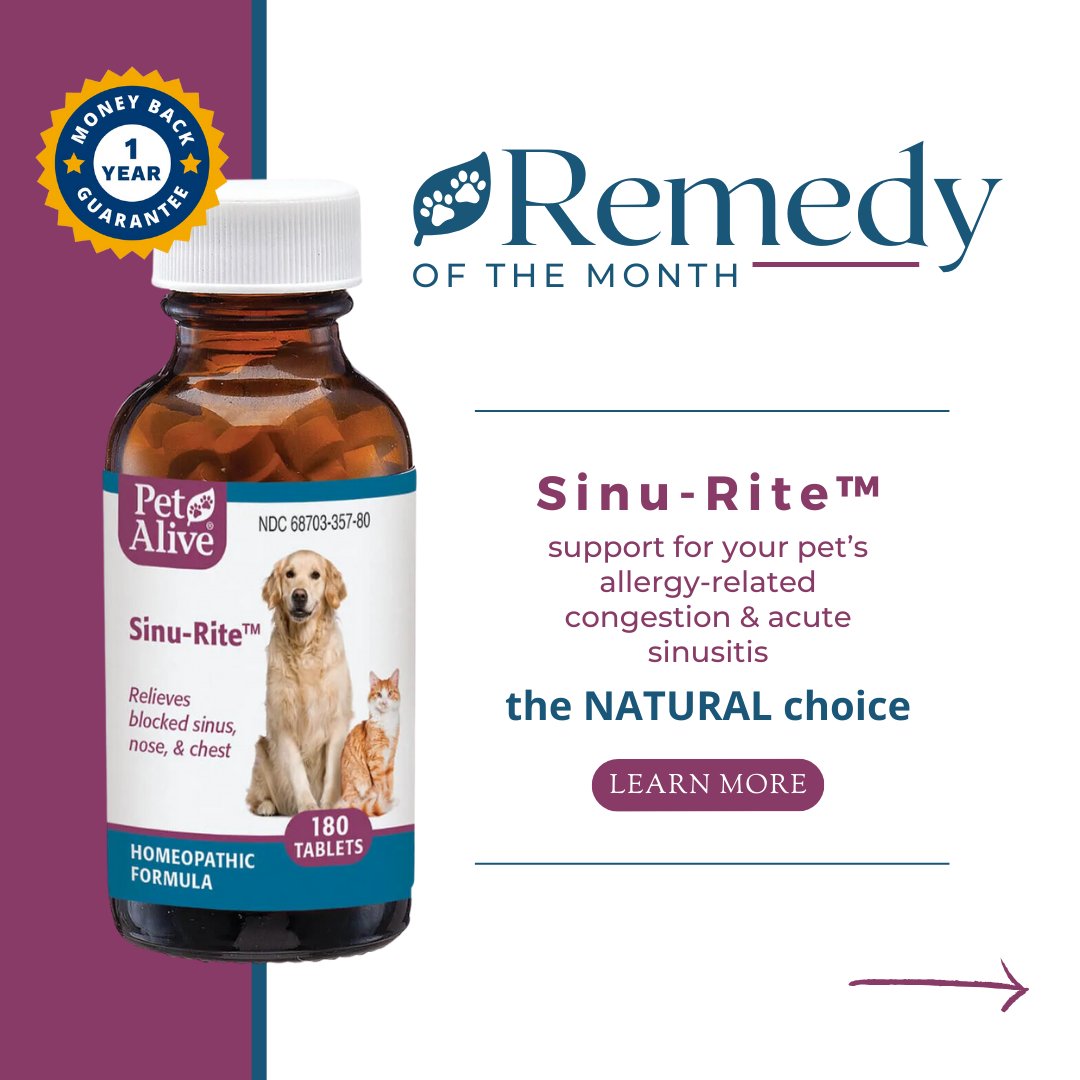 PetAlive tweet media