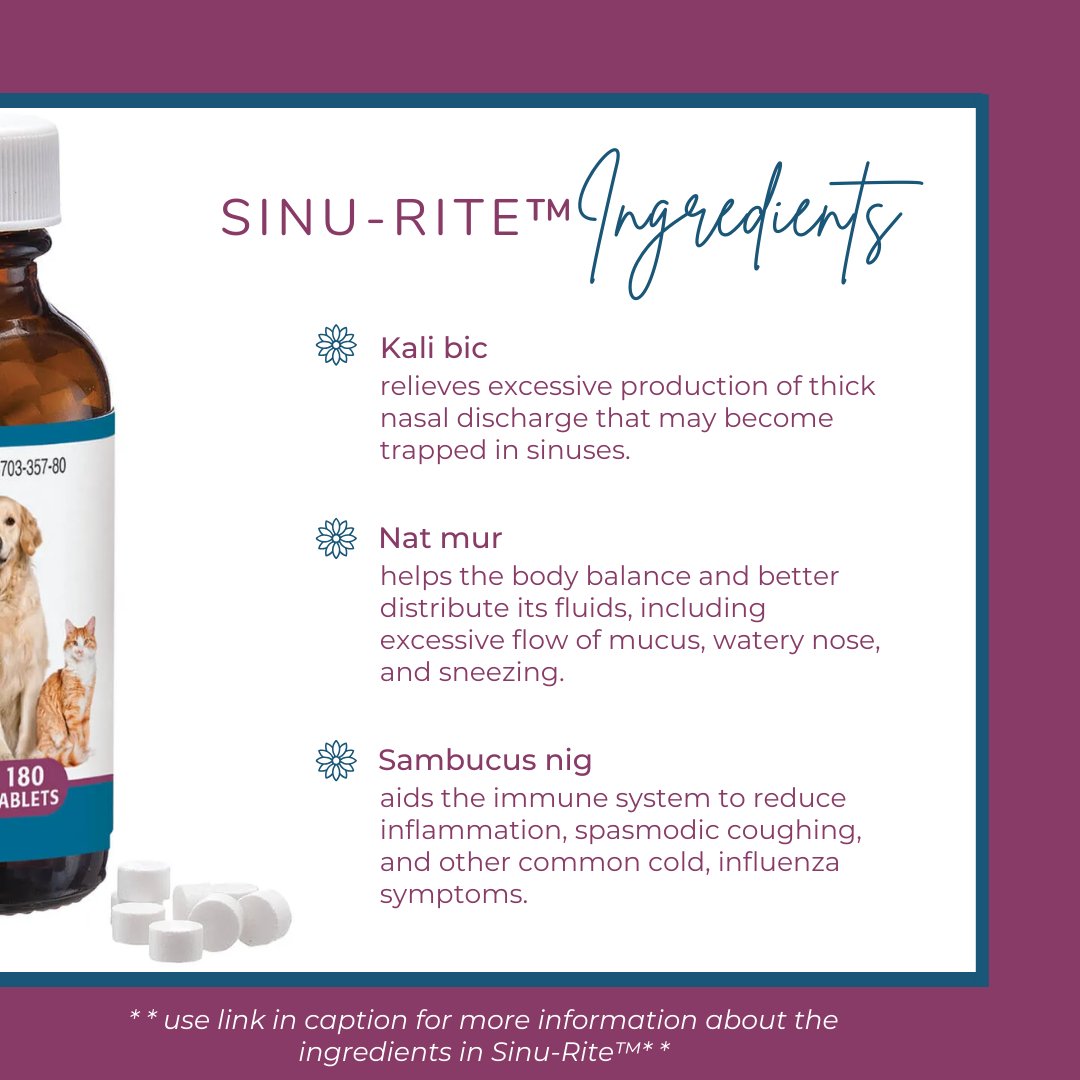 PetAlive tweet media