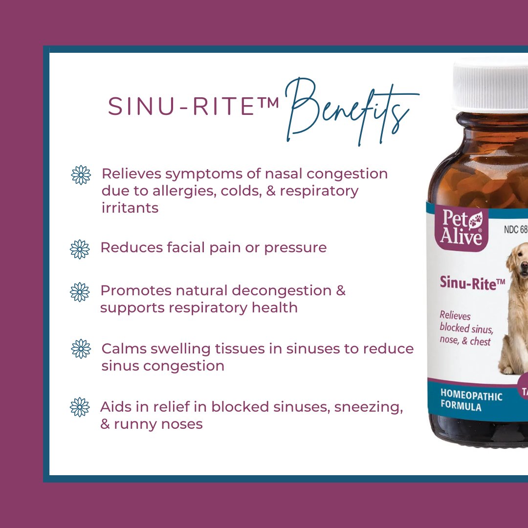 PetAlive tweet media