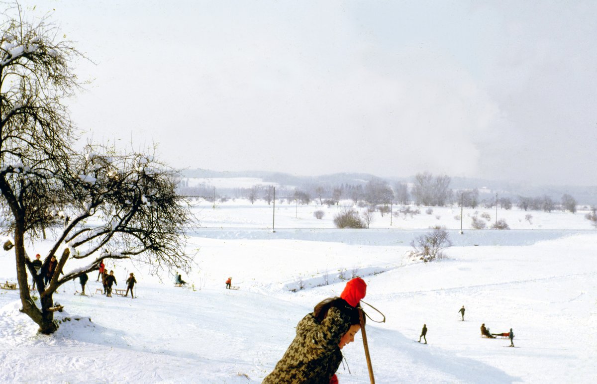 Wer war zufälligerweise 1964 am "Sibehöger" in Wetzikon am Schlitteln? Wir haben gerade so gar keinen Plan, an welchem Standort dieses Bild fotografiert wurde. Diabeschriftung: Sibehöger, ca. 1964. (^it)

#followerpower
#wetzikon
#werweissetwas
#zürioberland