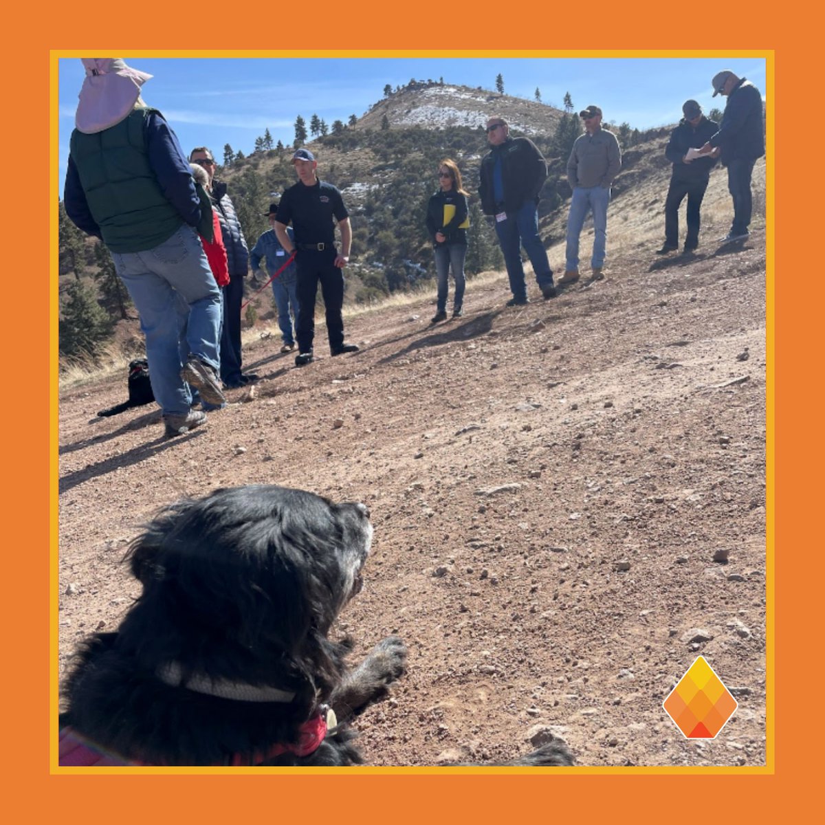 ClimateWildfire's tweet photo. CWI attended last week’s Fire Adapted Nevada Summit, hosted by @NevadaLWF, to learn more about how local #fireadaptation approaches can help inform our current projects focused on strengthening #wildfireresilience and #wildfireresponse.
Check out our website to learn more. https://t.co/9VhciXTrsE