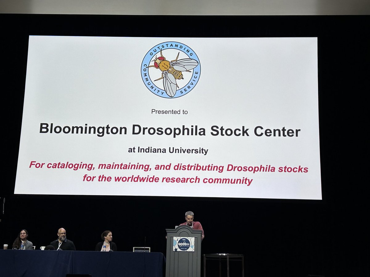 This years Drosophila service award goes to the yeoman efforts over many decades by the leadership and staff of the Bloomington Drosophila Stock Center; no fly lab exists that does not owe them a huge debt of gratitude 🙏 congrats all!