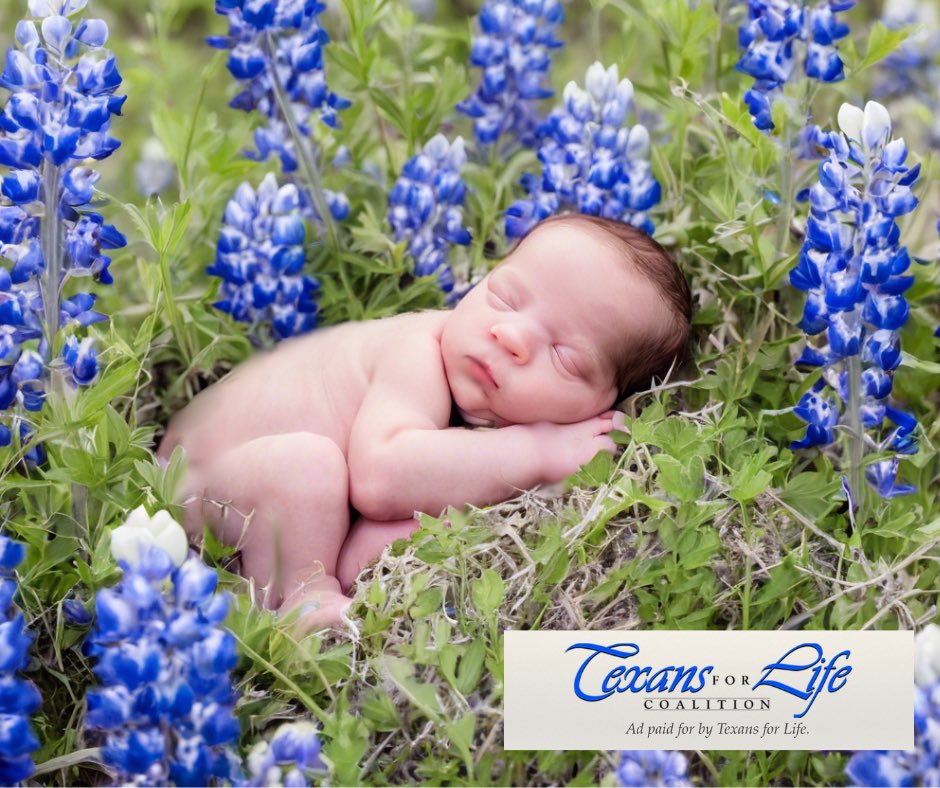 Celebrating babies and the Texas State flower Bluebonnets 123rd anniversary!  #prolife #valuelife