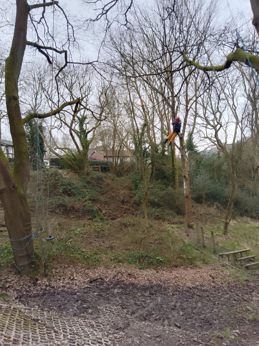 SomersParkReads's tweet photo. The children conquered their fears this morning on the king swing @SomersPark4EM @SomersPark4MF @SPMVCedar https://t.co/O5oOyPf8EG