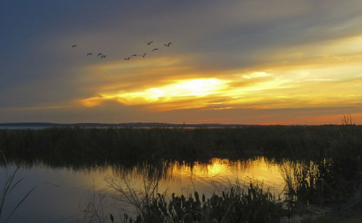 And we're back and catching up on what we've been doing recently! 

experimentalbrew.com/2024/03/06/epi…