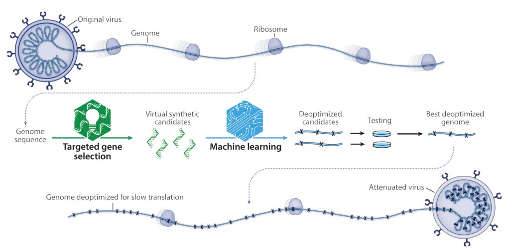 Codagenix tweet media