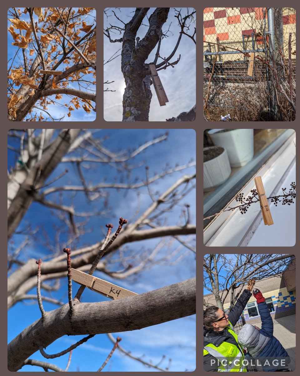 BEN Kinder 4 tweet media