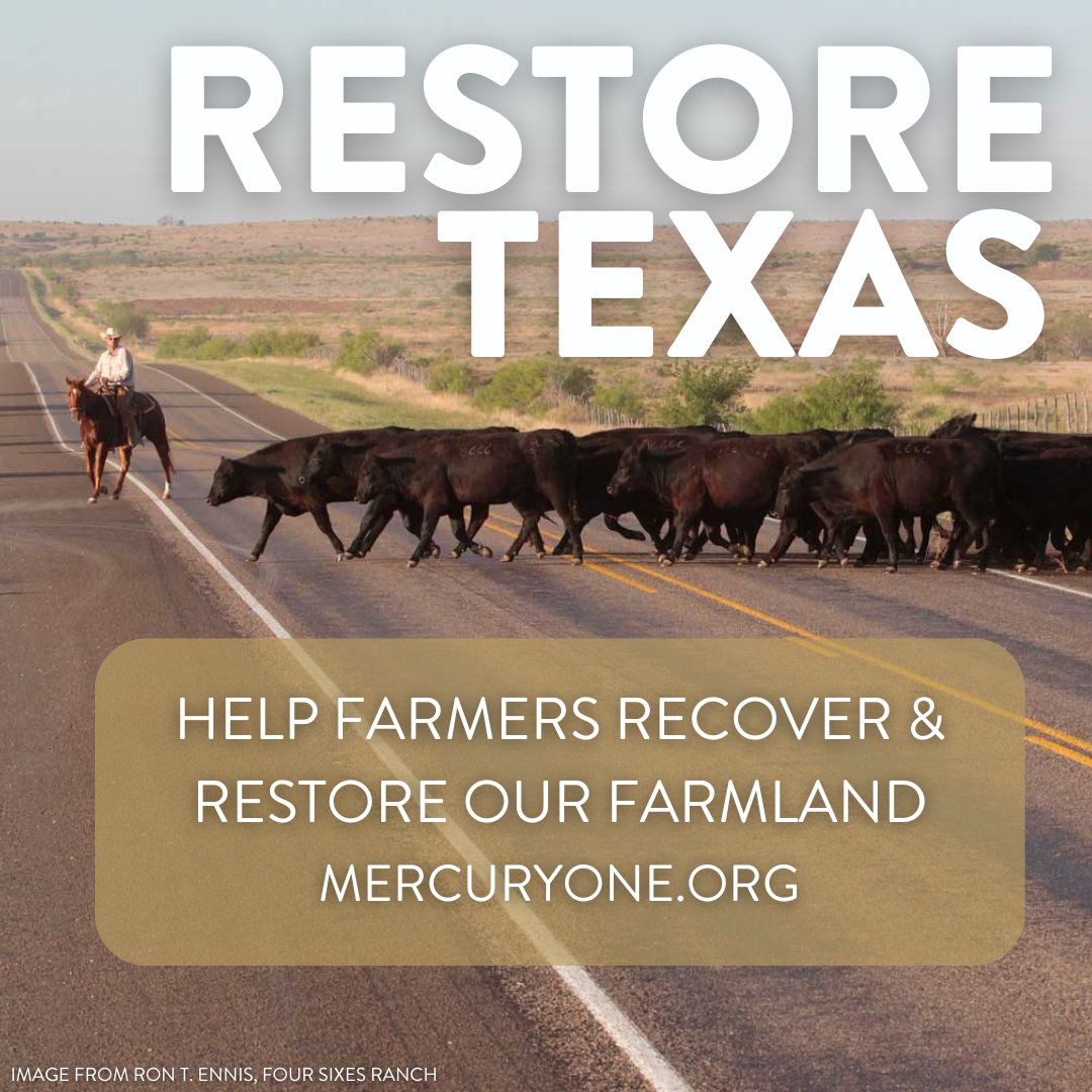 Farmers in Texas are struggling. Many of them have lost cattle, land, and their livelihood because of the devastating Smokehouse Creek Fire. This tragedy is going to impact all of us, as it has destroyed farmland and is going to be a long road to full recovery. Please help…