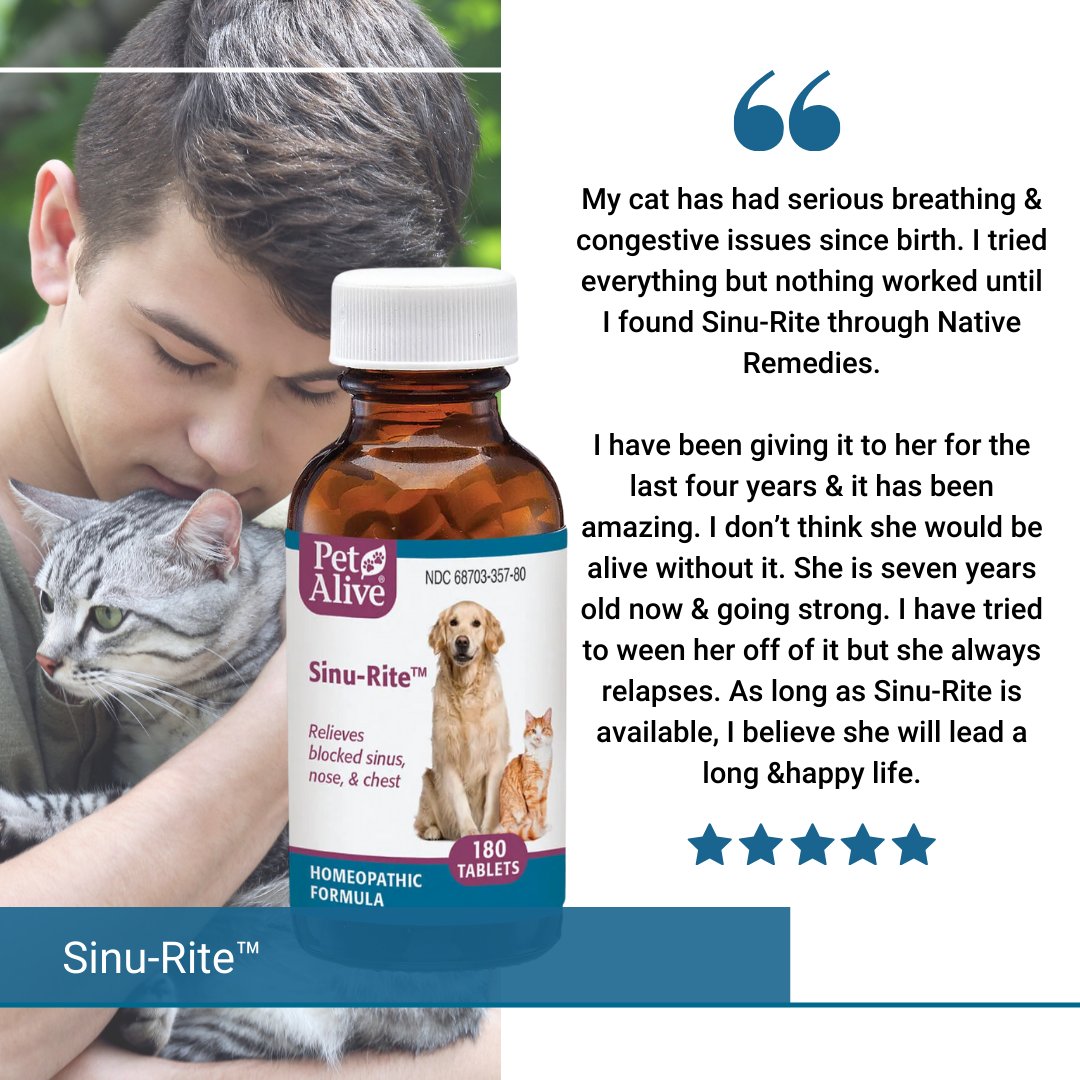 PetAlive tweet media