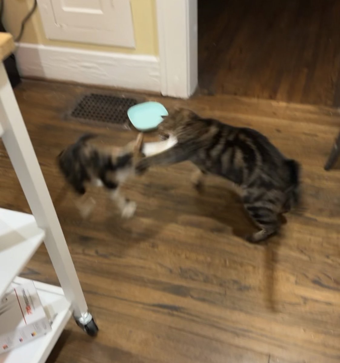 ThursdayHF's tweet image. David vs Goliath