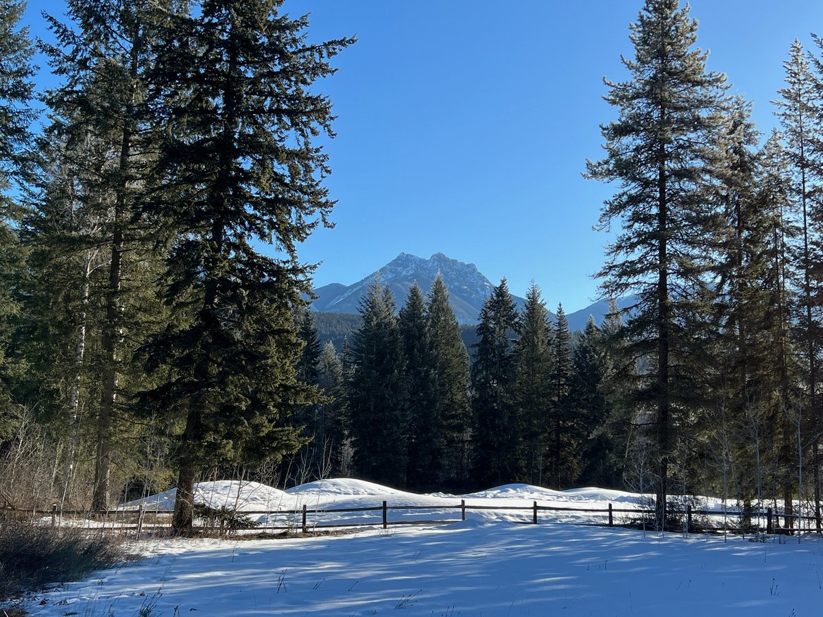 Embracing the beauty of every season at the Golden Golf Club! As we bid adieu to the chill, let's look forward to warmer days ahead. Stay tuned for our opening date announcement, coming your way soon! ⛳️❄️🌞

#GolfGolden #GoldenBC #WinterWonderland #SummerDreams