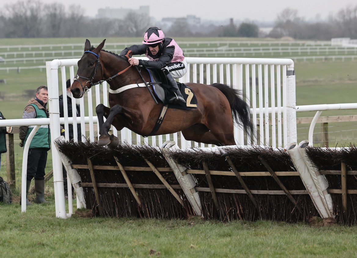 One More Stroke brings up the double in gutsy fashion under a penalty at Carlisle and is now 2/2 since going hurdling, a lovely horse for the future! 🎉🥇