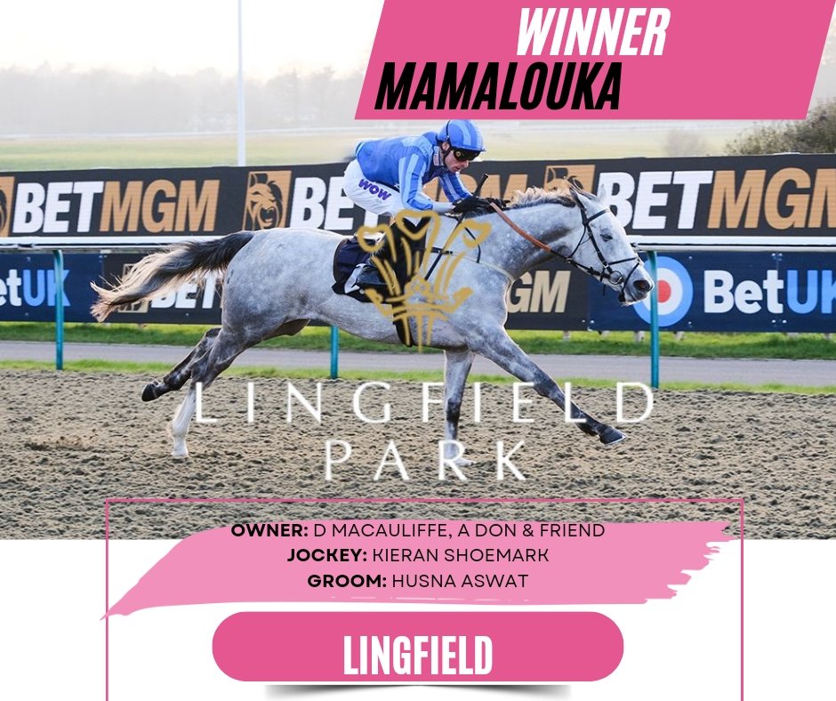 🔵⚪WINNER⚪🔵 A good day @LingfieldPark 📸 Mamalouka picks up her 2nd win in 2024 under @KShoemark for @AnojDon @killalastables and a 3rd for Awtaad Prince & @SSeclipsesports 🍾🥇🥉