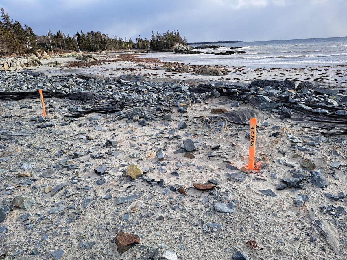 Just days after the government scrapped the Coastal Protection Act, site markers for construction appeared perilously close to Little Crescent Beach.

The developer building there? The same friend of the premier who sold Hogan Court to the province. #nspoli