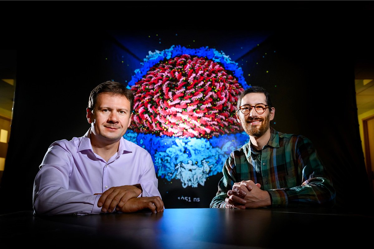 The first all-atom simulation of a DNA-packed virus capsid reveals genome structure and possible new drug targets, #ILLINOIS researchers report. ➡️ 
news.illinois.edu/view/6367/1225…