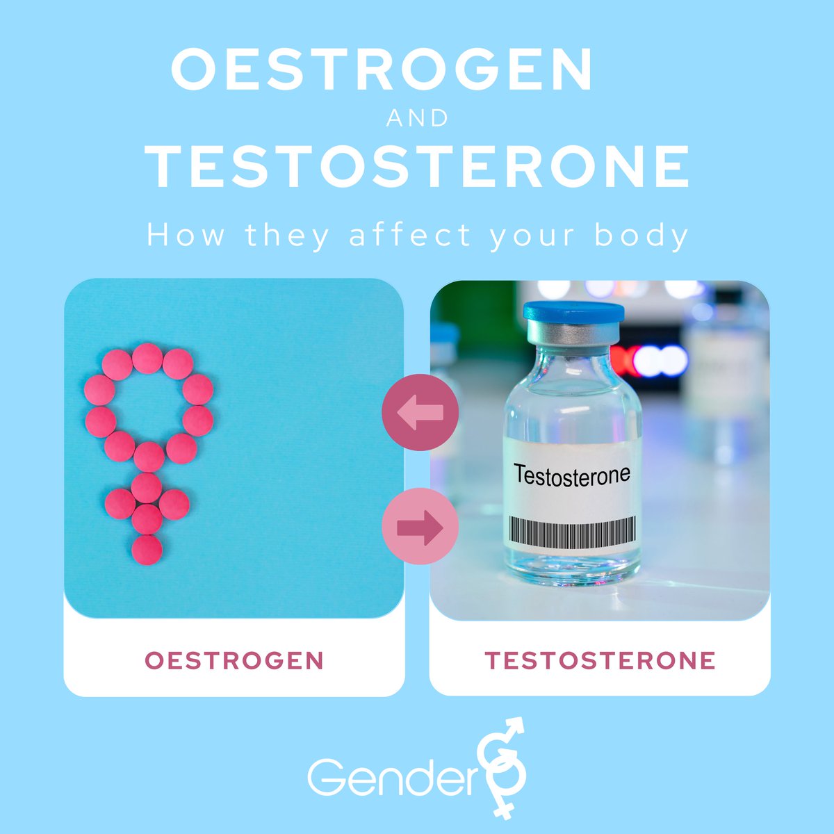 Sometimes taking things back to basics can shine a light on something you never knew you needed to know. We created this guide on how oestrogen and testosterone affect your body when transitioning 🏳️‍⚧️ Take it back to basics ⬇️ gendergp.com/effects-testos…