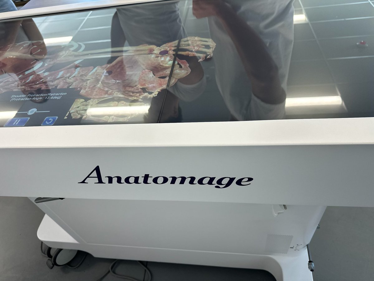 Assemblymember Akilah Weber, MD tweet media