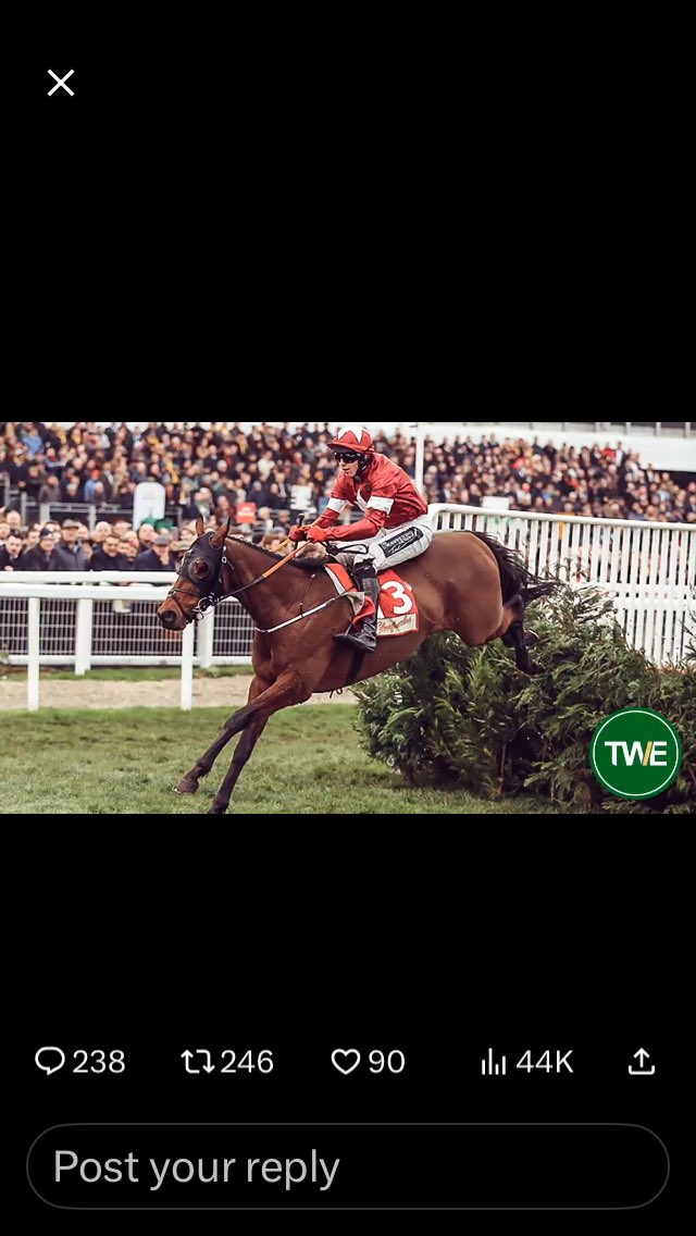 john_macki's tweet photo. @TWEnclosure https://t.co/D9NgCQtFLE