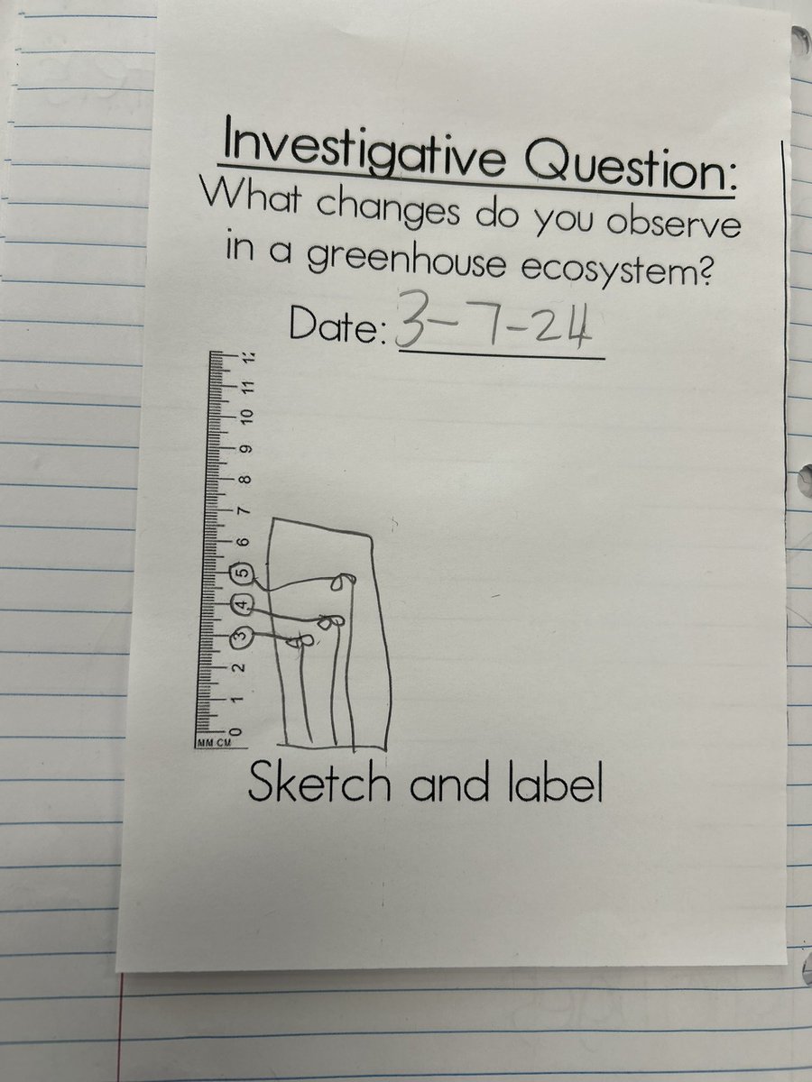 Cass_Francois's tweet image. Collecting data on how tall are your plants growing? Using 1 inch cubes to measure our plants 🌱 @CannellaElem @WeAreHAEST #kindergartenscientist #datacollecting