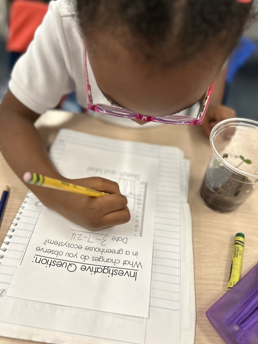 Cass_Francois's tweet image. Collecting data on how tall are your plants growing? Using 1 inch cubes to measure our plants 🌱 @CannellaElem @WeAreHAEST #kindergartenscientist #datacollecting