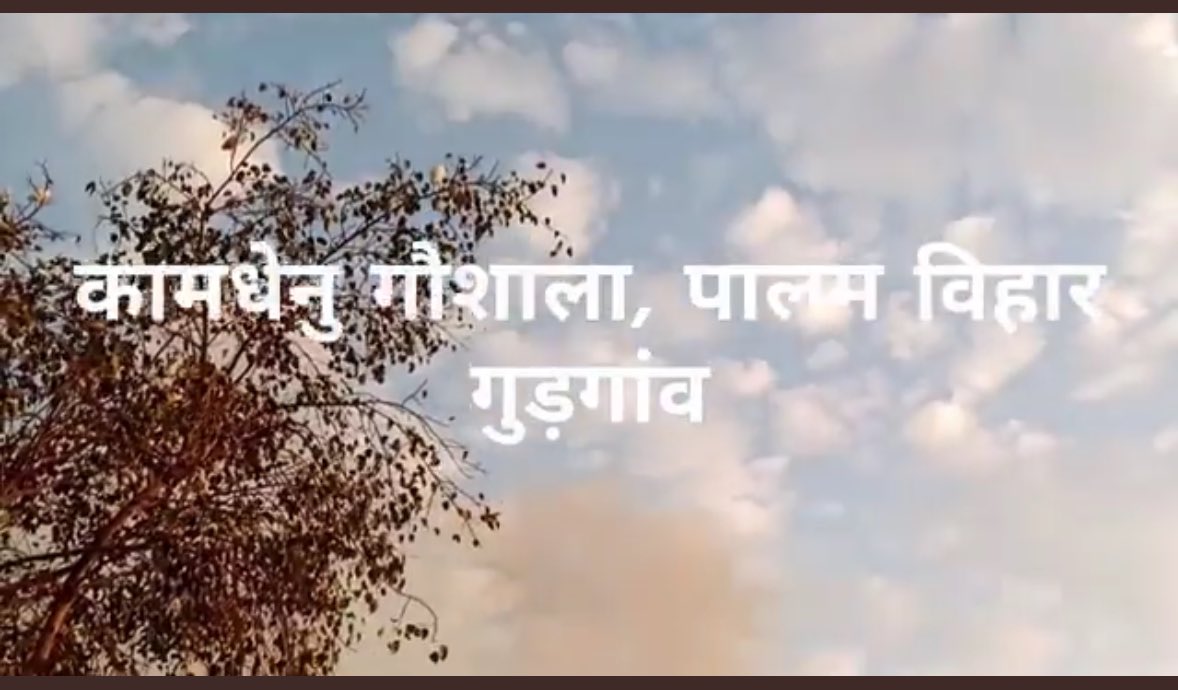 cleanAirBharat's tweet photo. #PollutionHotspot
#MCGWasteCollectionSite #Zone2
6Mar1🚒
7Mar 2🚒
…
3months ago7Fire🚒
@MunCorpGurugram who’s responsible for SWM at this “Khatta” ?
@DC_Gurugram @gurgaonpolice pls take action
Waste🔥 release #carcinogens
@CAQM_Official @CPCB_OFFICIAL
@0001sudarshan https://t.co/zFrwo7cO8x