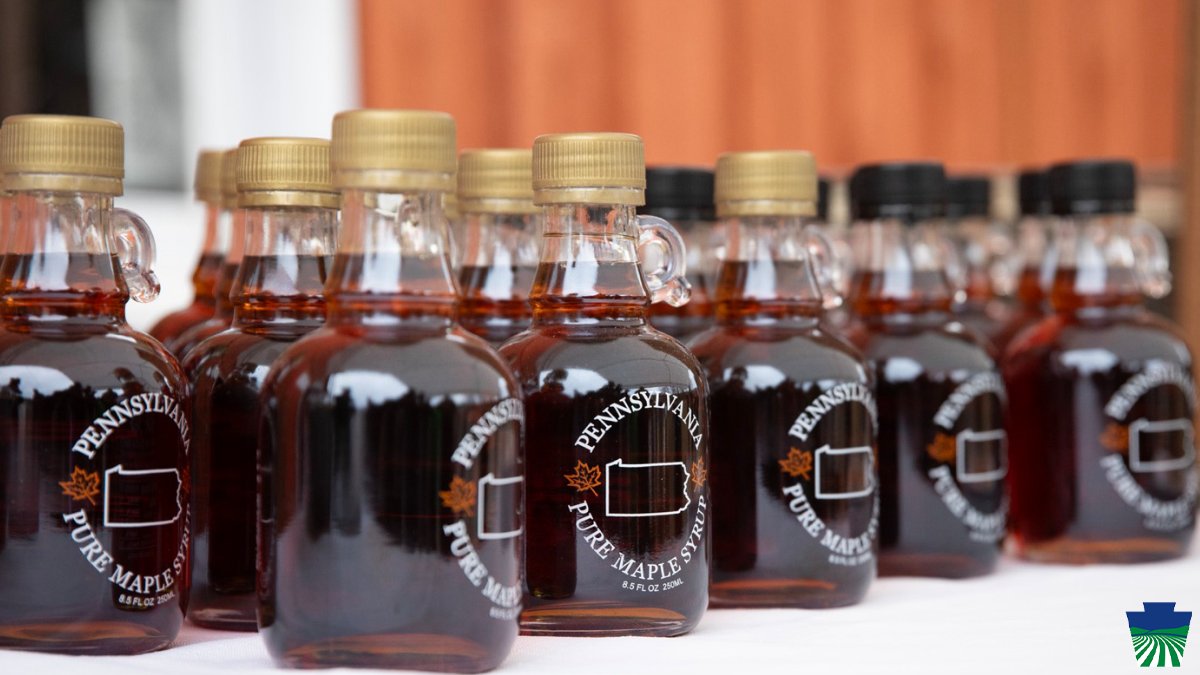 PAAgriculture's tweet photo. Itโs a sweet time in Pennsylvania! Happy #MapleMonth!
Maple producers across the Commonwealth are heading out into the woods. The maple season usually starts in the middle of February and may last 4 to 8 weeks.
Find a maple producer near you: https://t.co/H8UPE7YOg5 https://t.co/DaT6ICM0ci