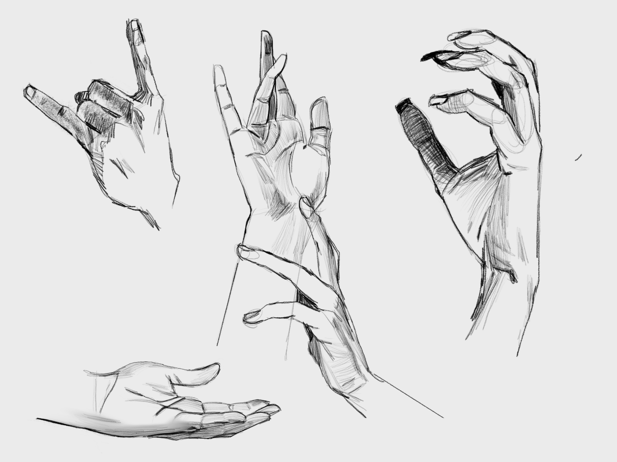 kamilhelbin's tweet photo. and a follow-up with hands! https://t.co/WZ36db41yS