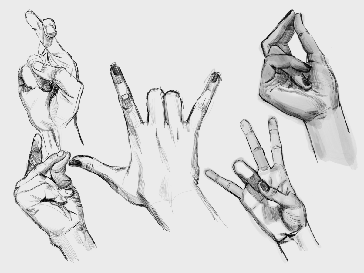 kamilhelbin's tweet photo. and a follow-up with hands! https://t.co/WZ36db41yS