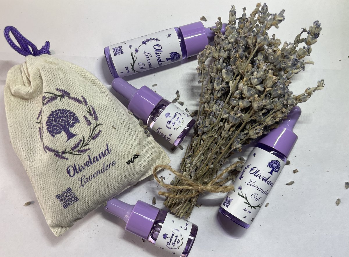 It's very close to the opening of our online store. Pure lavender oil and bags of dried lavender flowers are available as the first items in the store.

<a href="/WAX_io/">WAX</a>
<a href="/AtomicHub/">AtomicHub</a>
<a href="/neftyblocks/">NeftyBlocks</a>
#Oliveland #OlivelandNFT #SustainableFuture #PlantATree #NFTCommunity #Arbequina #Oliveoil
