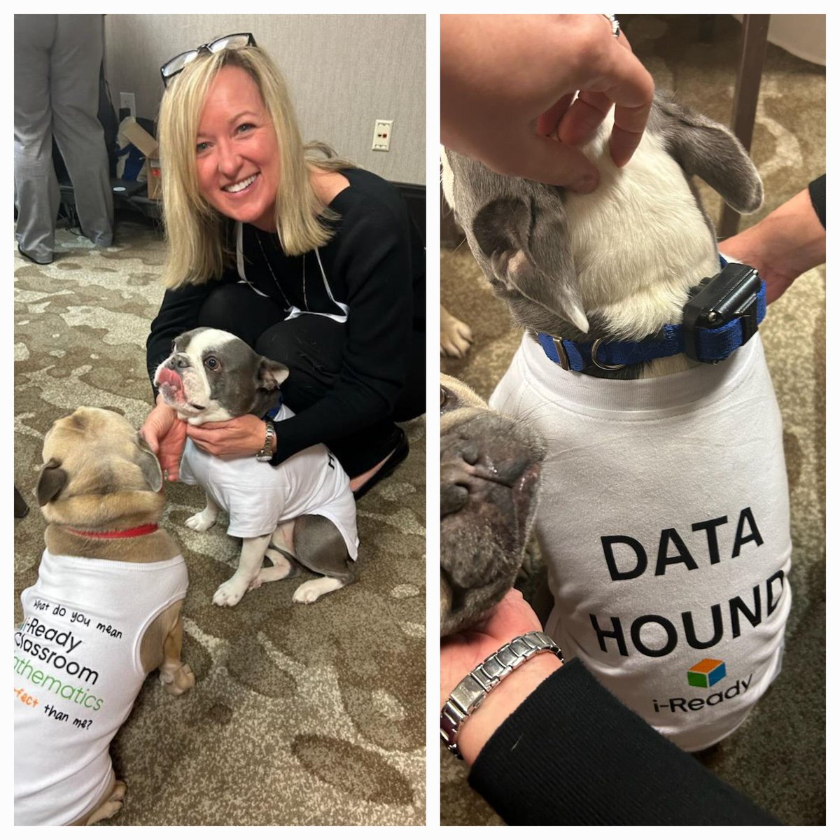 Doggone It! Leadership is so important!  Shout out to @iReady for bringing their DataHounds to visit us at #BASAWomensConference